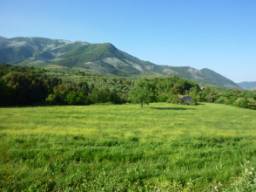 C:\Users\D255\Desktop\zone_PEEP\FOTO\P1200187.JPG