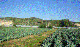 C:\Users\D255\Desktop\zone_PEEP\FOTO\P1200245.JPG