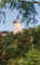 Torre della catena.jpg (33590 byte)